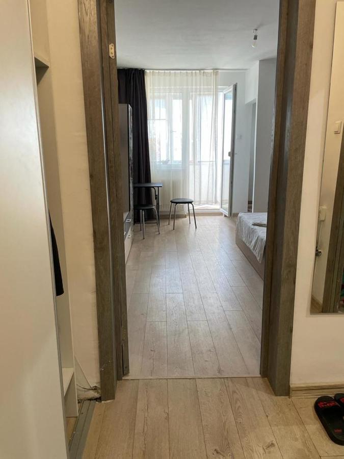 Bega Cirumvalatiunii One Room Apartment- 4 Timisoara Exterior photo